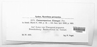 Camarosporium elaeagni image